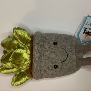 Silly Succulent Jade